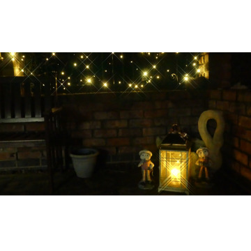 Photo for notice Fiona BULMER