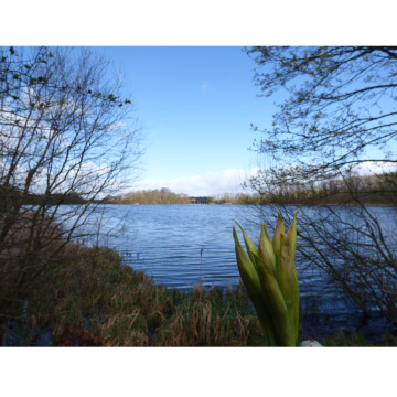 Photo for notice Fiona BULMER