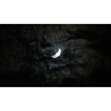 Photo for notice Fiona BULMER