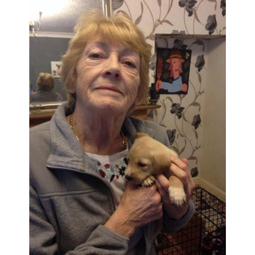 Photo for notice Shirley Ann GEORGE