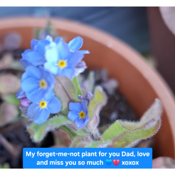 Notice Gallery for CLIFFORD MURRAY