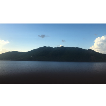 Photo for notice IRENE MIDDLEMISS