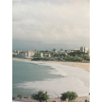 Photo for notice IRENE MIDDLEMISS