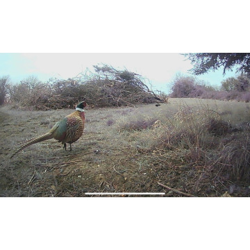 Notice Gallery for Paul CLARK