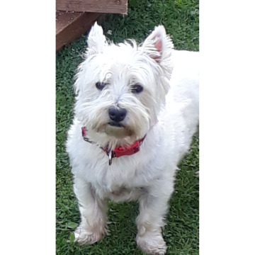 Notice Gallery for SHEILA ELIZABETH POTTS