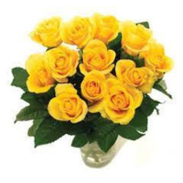 Photo of Denise ROSSITER