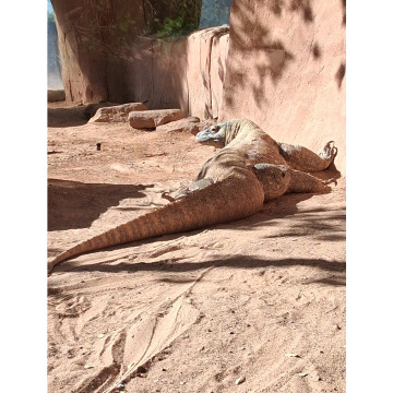 Photo for notice Chris HOLMES