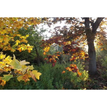 Notice Gallery for Chris HOLMES