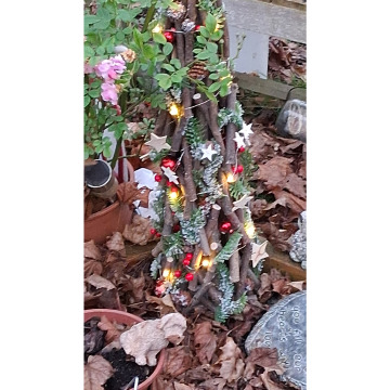 Photo for notice Chris HOLMES