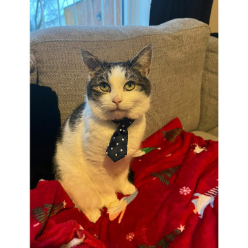 Photo for notice Chris HOLMES