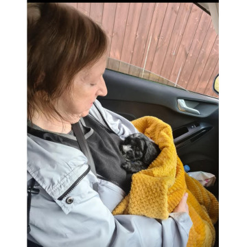 Photo for notice Chris HOLMES