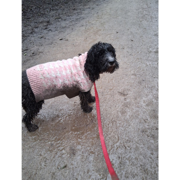 Photo for notice Chris HOLMES