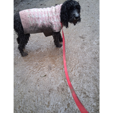 Photo for notice Chris HOLMES