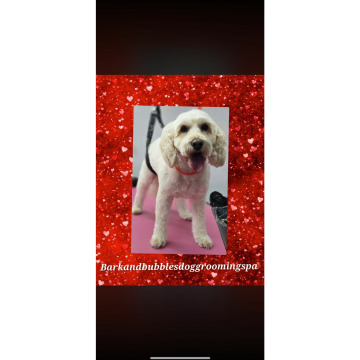 Photo for notice Chris HOLMES