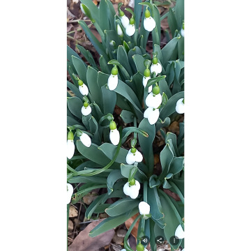 Photo for notice Chris HOLMES