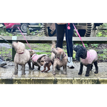 Photo for notice Chris HOLMES