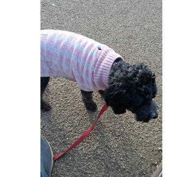 Photo for notice Chris HOLMES