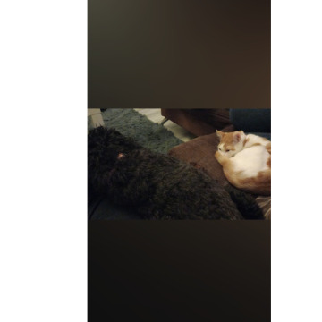 Photo for notice Chris HOLMES