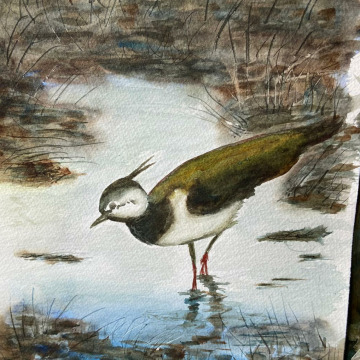 Photo for notice Chris HOLMES