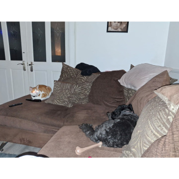 Photo for notice Chris HOLMES