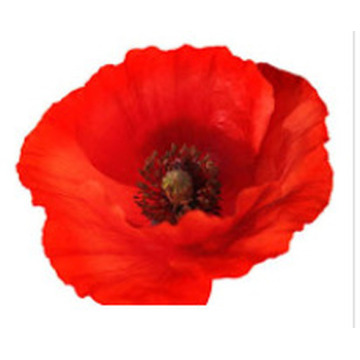 Photo of AUBREY JAMES SEVILLE