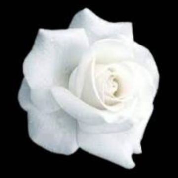Photo for notice EILEEN KNOWLES