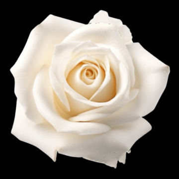 Photo for notice EILEEN KNOWLES