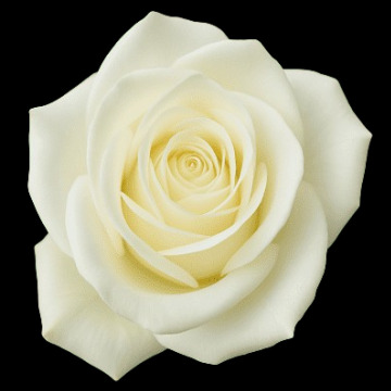 Photo for notice EILEEN KNOWLES