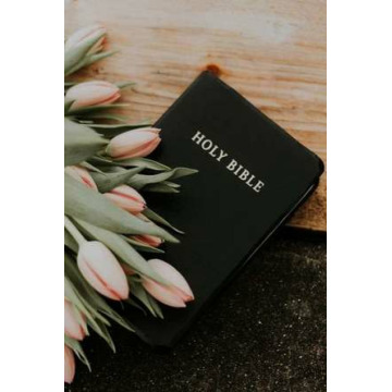 Photo of Pamela Irene JENKINS