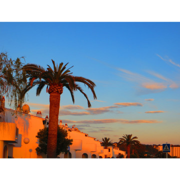 Photo for notice PAULA JAYNE BRAIDFORD