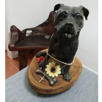 Photo for notice Mary OAKDEN