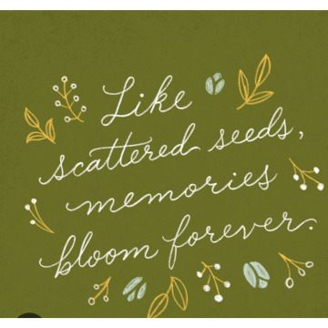 Photo for notice Gemma Adeline WHITE