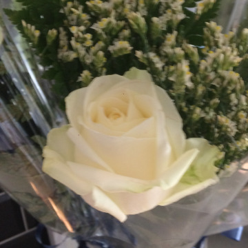 Notice Gallery for Terence HUTCHINSON