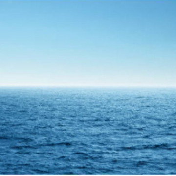 Photo of Guy Havelock SMITH