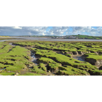 Photo for notice Rob MARSHALL