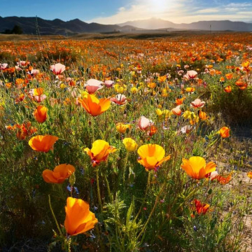 Photo for notice GARY JOHN LAWSON