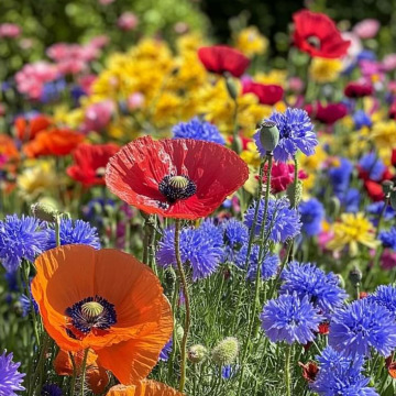 Photo for notice GARY JOHN LAWSON