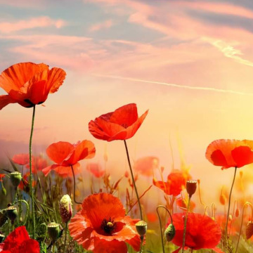 Photo for notice GARY JOHN LAWSON