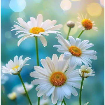 Photo for notice GARY JOHN LAWSON