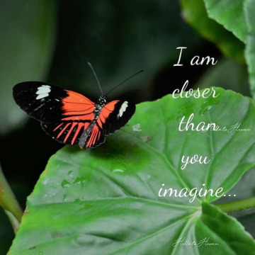 Photo for notice GARY JOHN LAWSON