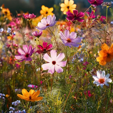 Photo for notice GARY JOHN LAWSON