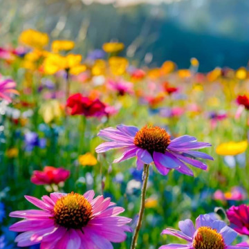 Photo for notice GARY JOHN LAWSON