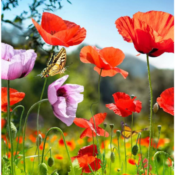 Photo for notice GARY JOHN LAWSON