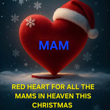 Notice Gallery for PATRICIA HARKNESS