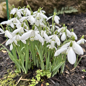 Photo for notice Beryl HOLDCROFT