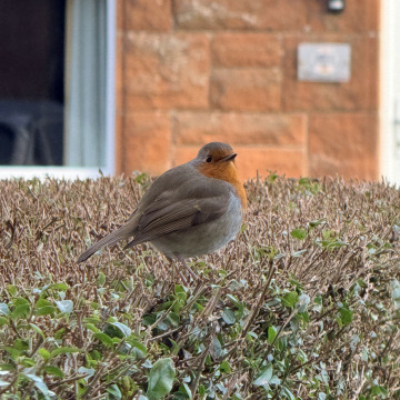 Photo for notice Olivia Ann CRAIG