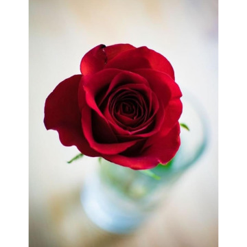 Notice Gallery for Richard John JONES