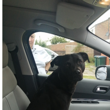 Notice Gallery for Andrew STITCHELL