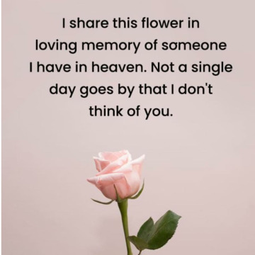 Notice Gallery for Dawn KNOWLES