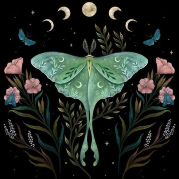 Notice Gallery for Winnifred JACKSON